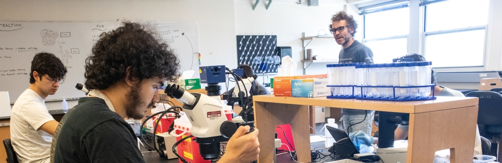 SBD Students in Lab with Andrew Gillis - Credit Emily Greenhalgh1