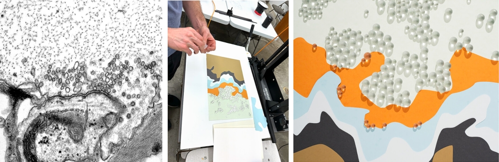 Left: an electron microscope image of a sea lamprey synapse. Center: an artist builds a model inspired by the image. Right: the final photo of the model, used as the cover image for a recent issue of Molecular Biology of the Cell. Credit: MBoC