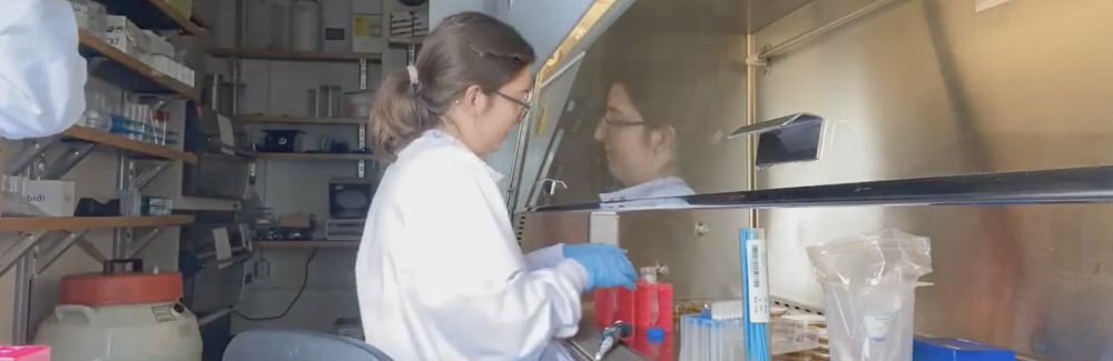 A screengrab from a "Day in the Life" Video of University of Chicago Metcalf Intern Marta Pantin. She sits at a vent hood in a lab coat