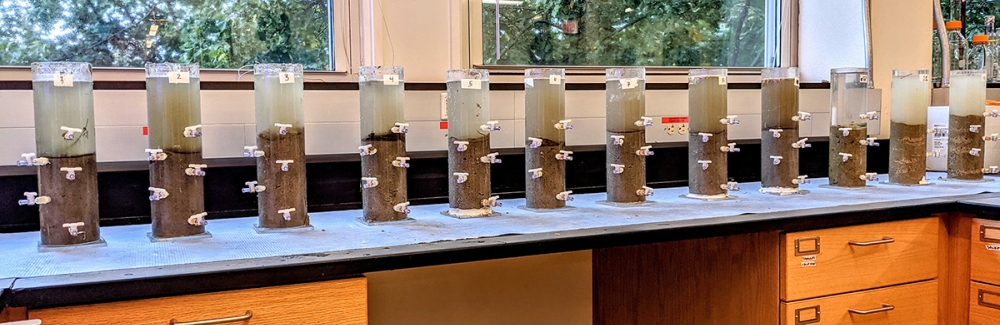 Winogradsky Columns made by students in the MBL's Semester in Environmental Science course.