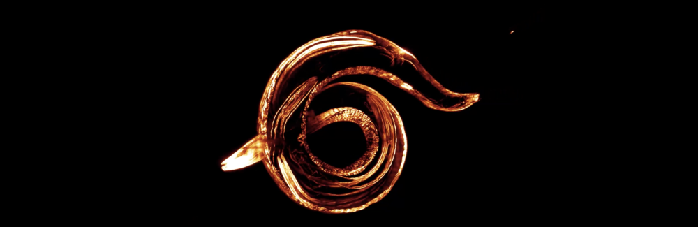 T. tufae nematode imaged at MBL