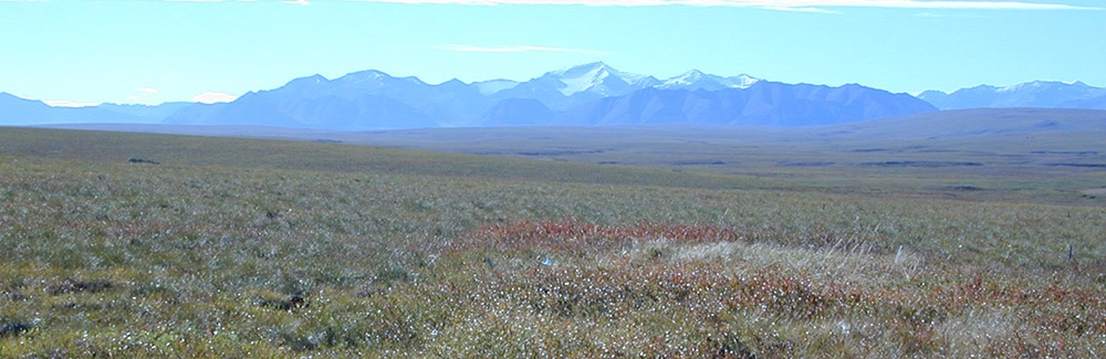 toolik