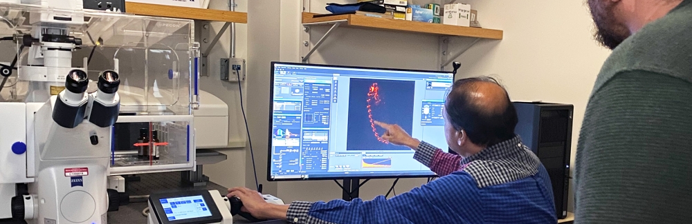 Nipam Patel, director of the Marine Biological Laboratory, demonstrated a confocal microscope to a small group of fellows. The microscope can capture a three-dimensional object through two-dimensional scans at different depths. Researchers then run a software program to construct three-dimensional models of the sample. Credit: Anna Kass | Knight Science Journalism Program
