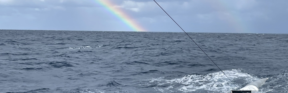 The POP team deploys a Manta Trawl to collect microplastics from surface waters during the Spring OFP 2024 research cruise.