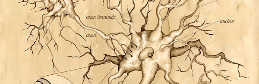 neuron illustration