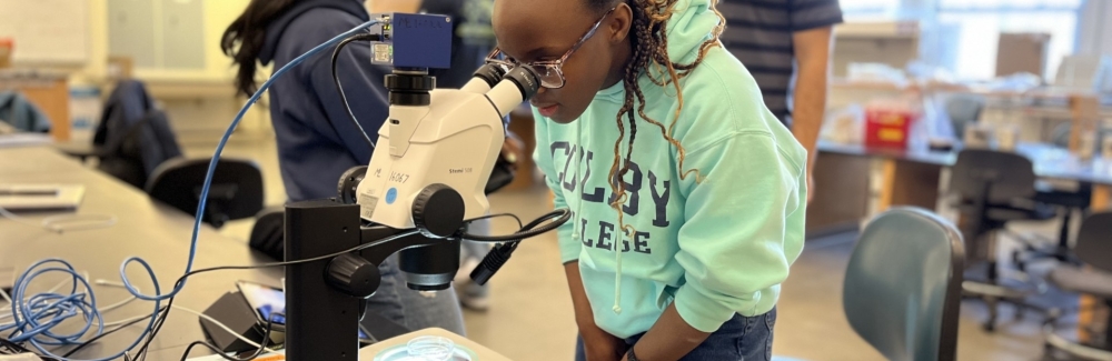 A student from Colby College peers into a microscope in Loeb Laboratory. Credit: Alex Megerle