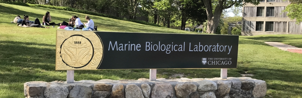 Sign and students