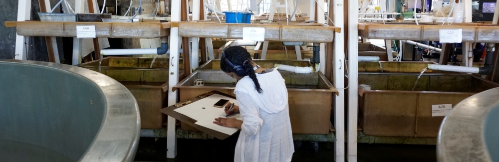 A student sits on a bucket in front of water tanks and draws.