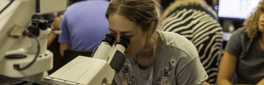 Student looks through microscope.