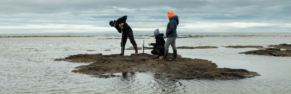 Three scientists take a soil sample site at the edge of a Beaufort Sea lagoon, part of the greater Arctic Ocean on the northern coast of Alaska. Credit: Nathaniel Wilder