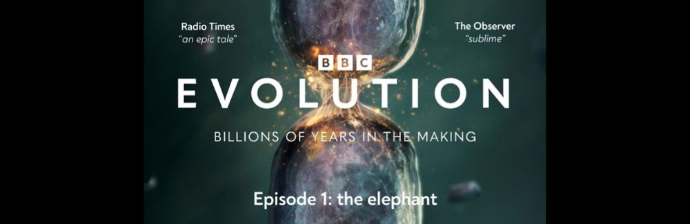 Movie poster featuring evolution