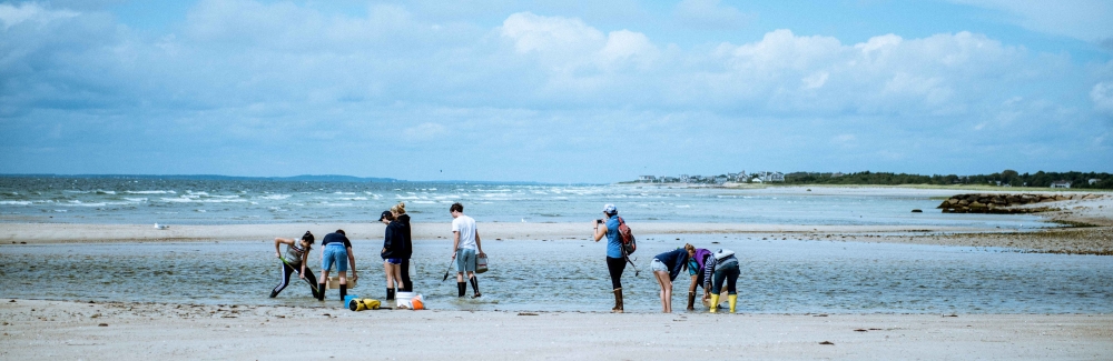 University of Chicago students sampling at Wood Neck Beach