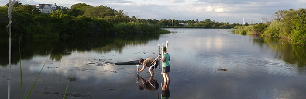 Setting up sampling poles at Trunk River. 