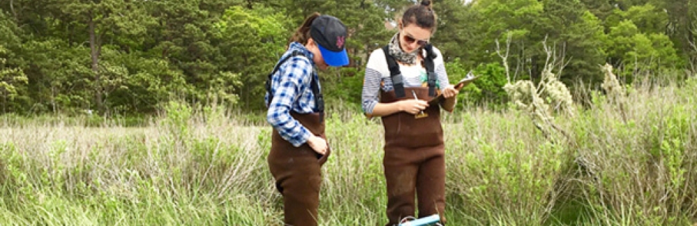 Environmental Fellows Sarah Kaplan of The Washington Post and María Mónica Monsalve of El Espectador field sampling in Woods Hole. 