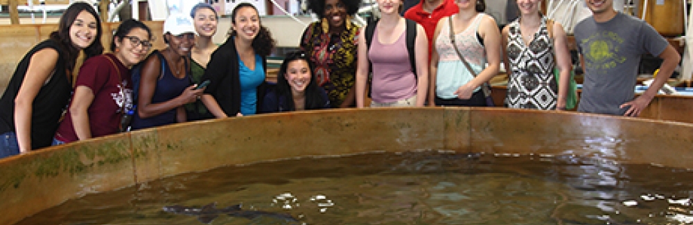 Alumni of the EXROP program visit the Marine Resources Center. L-R: Krissy Lyon, Karina Perlaza, Taylor Brown, Christine Liu, Elelbin Ortiz, Vivian Chen, Daisha Steadman, Rebecca Senft, Juan Pablo Ruiz, Kendall Condon, Maureen Carey, Javier How.