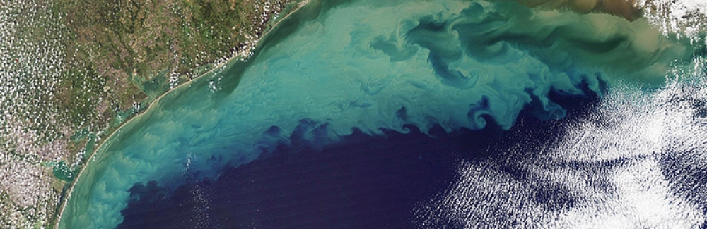 MODIS satellite image of sediment in the Gulf of Mexico.