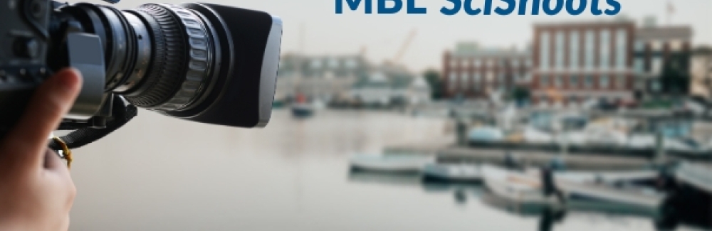 Camera in foreground, MBL in background