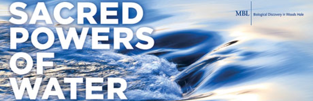 sacred powers of water text over water graphic