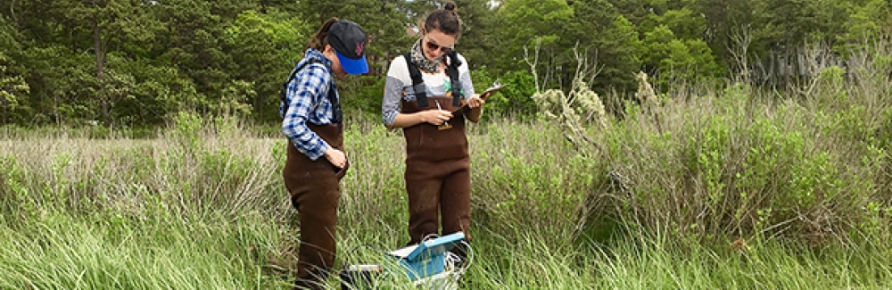 Environmental Fellows Sarah Kaplan of The Washington Post and María Mónica Monsalve of El Espectador field sampling in Woods Hole.