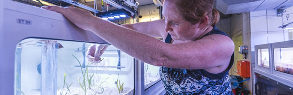 Mirta Teichberg in her seagrass lab