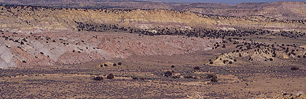 southwestern US desert