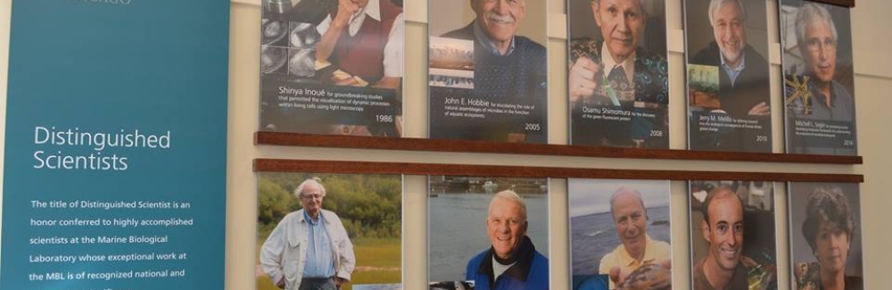 Distinguished Scientists of the Marine Biological Laboratory banner on wall