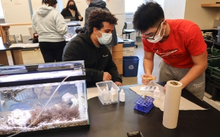 two students at a fish tank