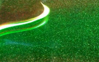 A lamprey, illuminated by laser light, swimming through the suspended glass beads used to capture its motion and the movement of the fluid. Credit: Sean Colin