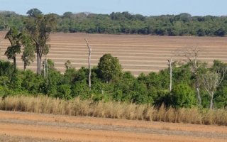 Tanguro Ranch, Brazil