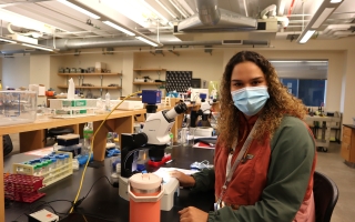 Embryology course assistant Frances Moore prepares course material and plans course events. 