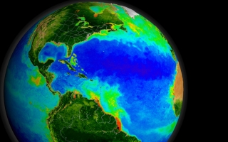 Phytoplankton blooms in the global ocean. Credit: NASA Goddard