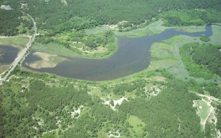 Lower Herring River in Wellfleet Credit Cape Cod National Seashore