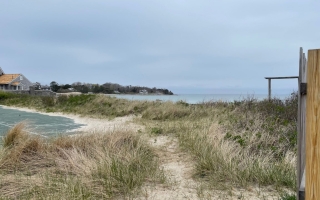 Stoney Beach in Woods Hole Credit Leslie-Ann McGee