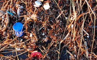 Plastic washed up on the beach. Credit Kevin Krejci via Wikimedia Commons