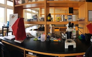 Photo of lab at MBL