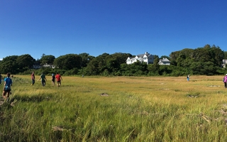  Researchers in Little Sippewissett salt marsh, Falmouth, Mass. Credit: David Mark Welch