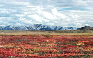 Brooks Range, Alaska, Credit: Jim Laundre