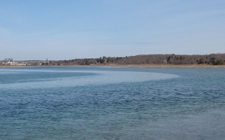 Buzzards Bay watershed in Massachusetts. Credit Anna-Marie York/USFWS