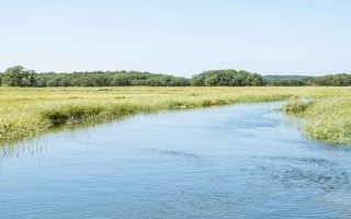 Plum Island LTER