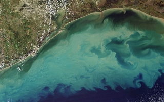 Sediment in the Gulf of Mexico. Credit: MODIS Satellite Image - NASA