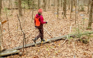 Researchers William Werner and Melissa Knorr monitor the soil-warming experimental site that Jerry Melillo created in 1991 at Harvard Forest, Massachusetts. Credit: Webb Chappell