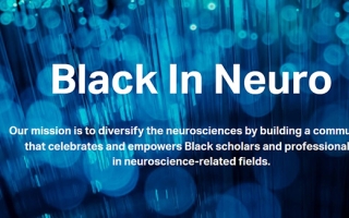 Black in Neuro website