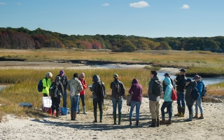 students in marsh