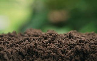 Photo of soil