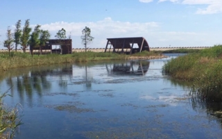 The extensively restored Yingwuzhou wetland (pictured) in Shanghai, China, emits less methane than a nearby wild wetland. Credit: Xuechu Chen