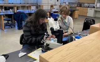 Students at a lab bench. Credit Jean Enright