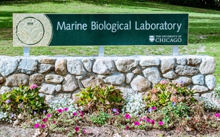 MBL sign on Swope Lawn with flowers in front. Credit: Megan Costello