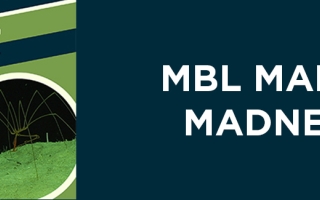 march madness Sea Spider graphic