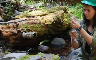 Scientist at US Forest Service research site in the Cascade Mountains.