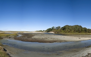 Sippewissett Marsh